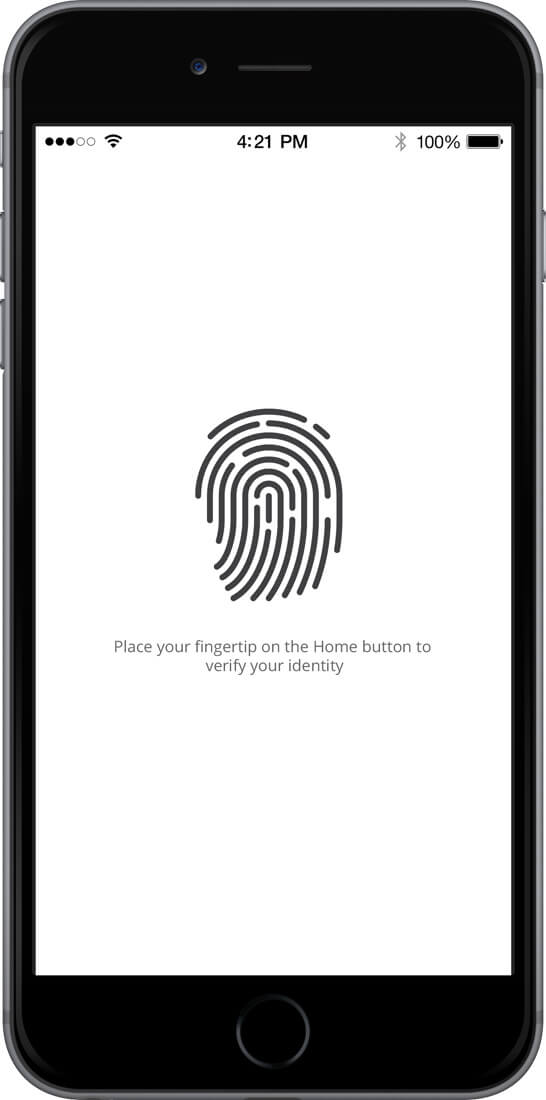 fingerprint