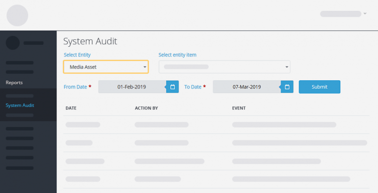 system audit